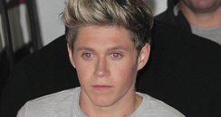 Search Results for: Niall Horan On Crutches After Knee Surgery Louis