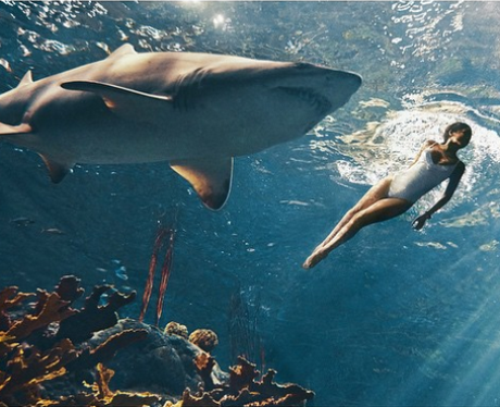 2019 year - Rihanna Swimming with Sharks 2019 year