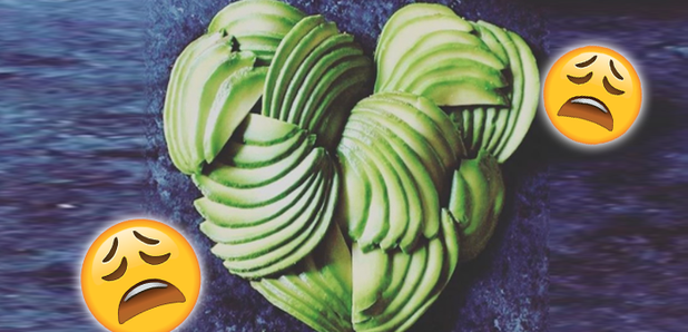 Avocado Instagram Post elyturm_elyse